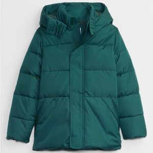 Gap Boys Green Puffer Hoodied Jacket Size L 12-14 Years